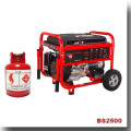 BISON (CHINA) Gas Benzin Zwei-in-One-OEM-Generator Gas